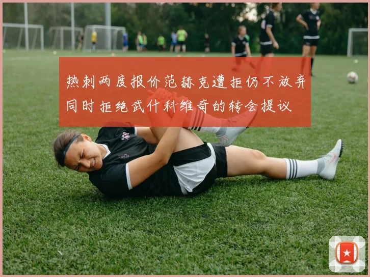 热刺两度报价范赫克遭拒仍不放弃同时拒绝武什科维奇的转会提议