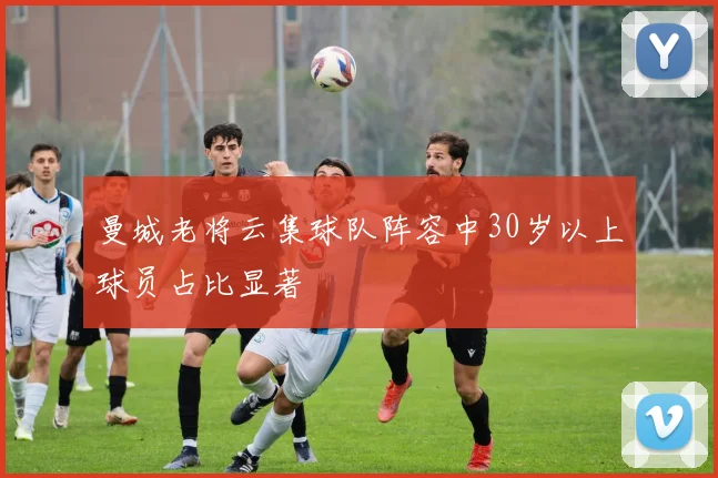 曼城老将云集球队阵容中30岁以上球员占比显著